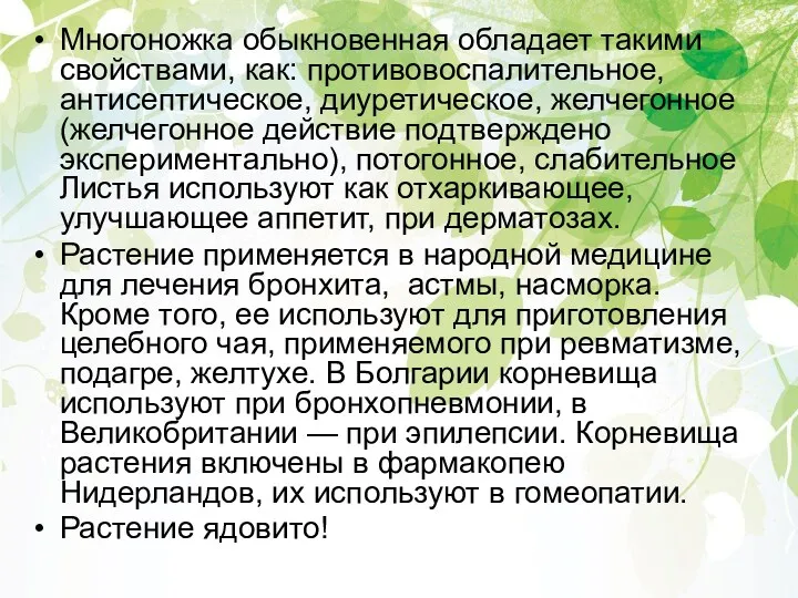 Многоножка обыкновенная обладает такими свойствами, как: противовоспалительное, антисептическое, диуретическое, желчегонное