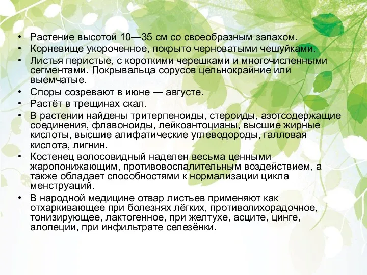 Растение высотой 10—35 см со своеобразным запахом. Корневище укороченное, покрыто