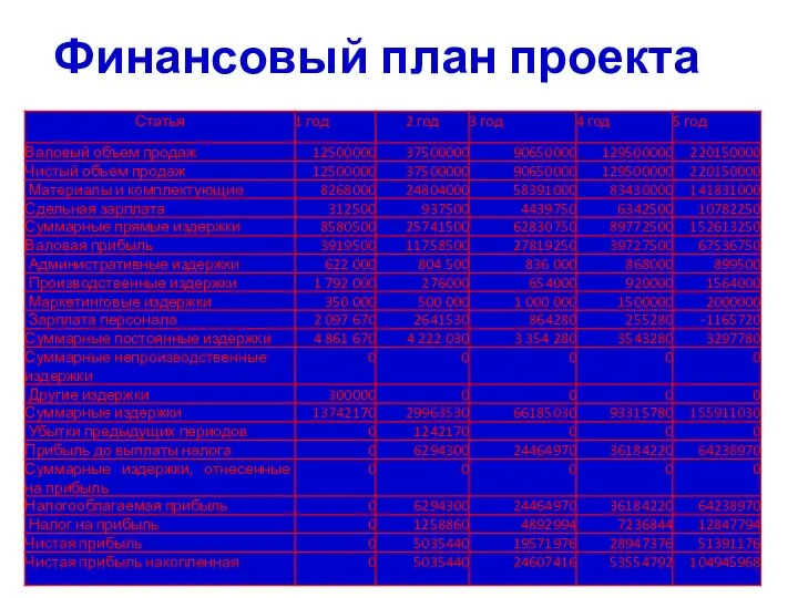 Финансовый план проекта