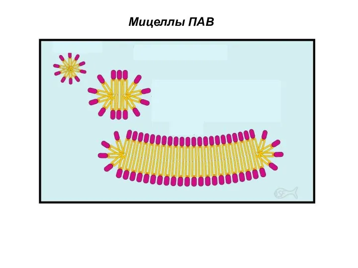 Мицеллы ПАВ