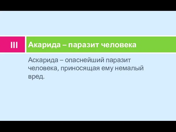 Аскарида – опаснейший паразит человека, приносящая ему немалый вред. Акарида – паразит человека III