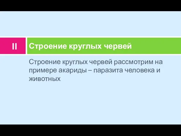 Строение круглых червей рассмотрим на примере акариды – паразита человека и животных Строение круглых червей II