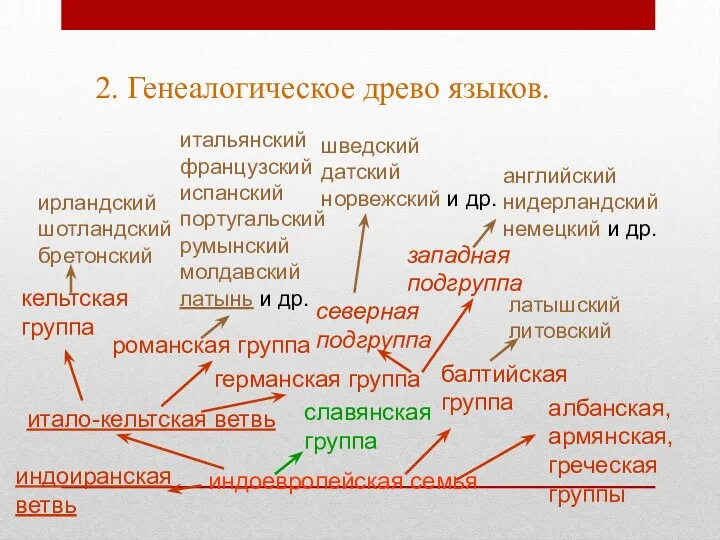 2. Генеалогическое древо языков. индоевропейская семья итало-кельтская ветвь германская группа