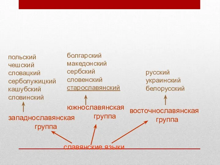 славянские языки западнославянская группа польский чешский словацкий серболужицкий кашубский словинский