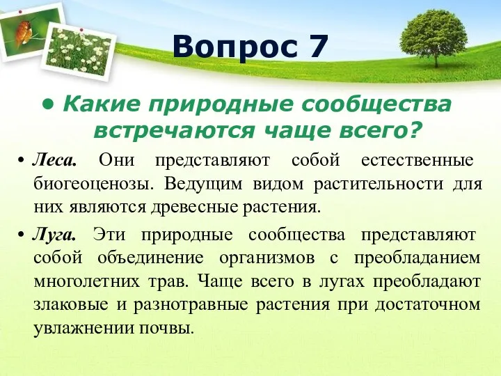 Вопрос 7 Какие природные сообщества встречаются чаще всего? Леса. Они