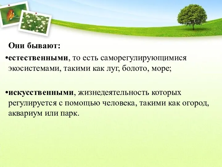 Они бывают: естественными, то есть саморегулирующимися экосистемами, такими как луг,