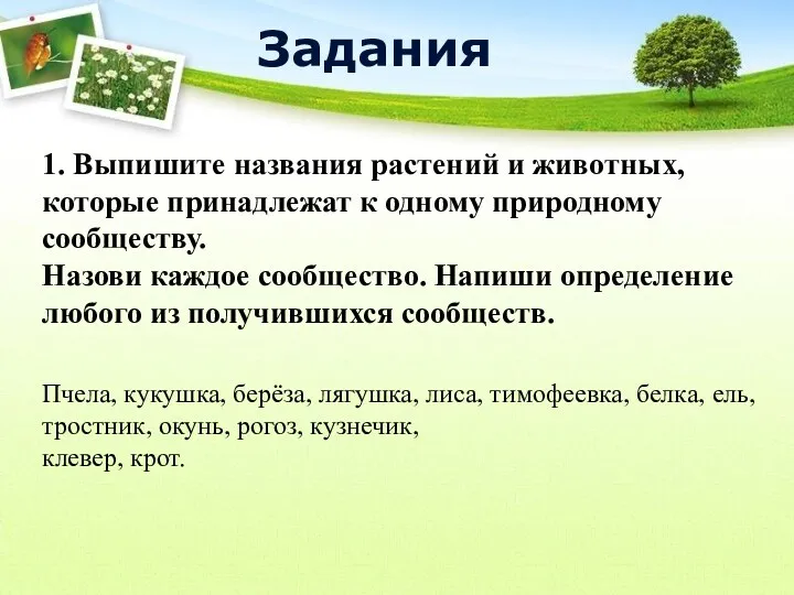 1. Выпишите названия растений и животных, которые принадлежат к одному