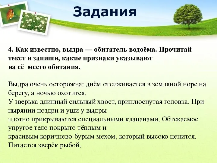 4. Как известно, выдра — обитатель водоёма. Прочитай текст и