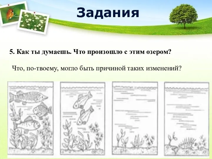 5. Как ты думаешь. Что произошло с этим озером? Что,