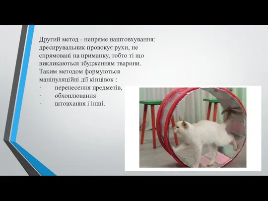 Другий метод - непряме наштовхування: дресирувальник провокує рухи, не спрямовані