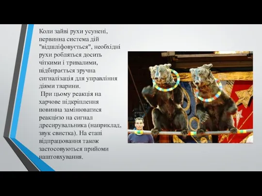 Коли зайві рухи усунені, первинна система дій "відшліфовується", необхідні рухи