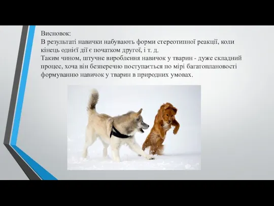 Висновок: В результаті навички набувають форми стереотипної реакції, коли кінець