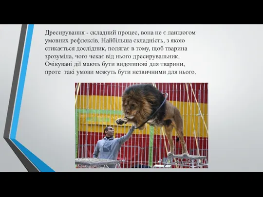 Дресирування - складний процес, вона не є ланцюгом умовних рефлексів.