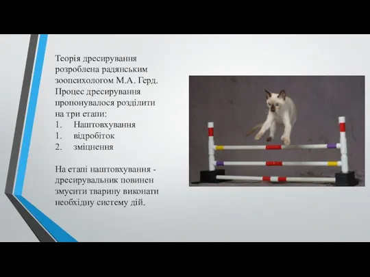 Теорія дресирування розроблена радянським зоопсихологом М.А. Герд. Процес дресирування пропонувалося