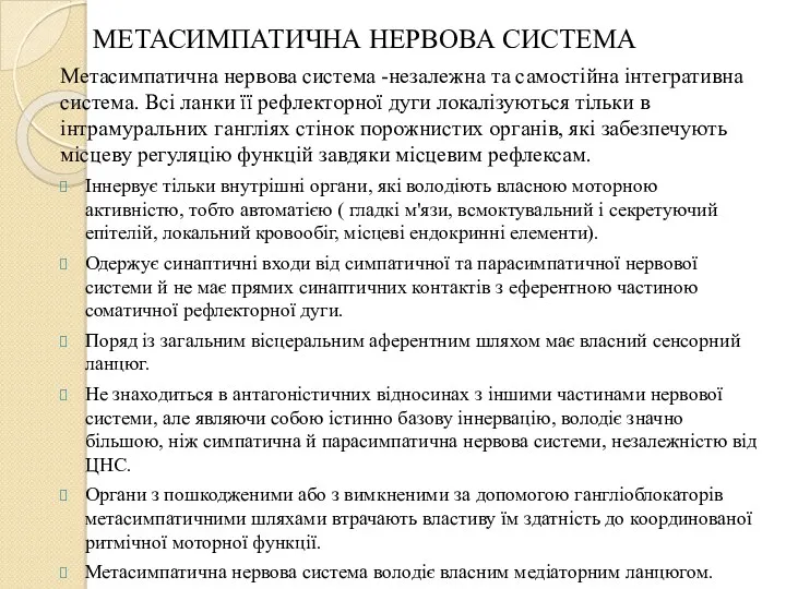 МЕТАСИМПАТИЧНА НЕРВОВА СИСТЕМА Метасимпатична нервова система -незалежна та самостійна інтегративна