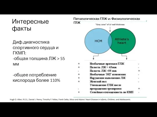 Интересные факты Диф.диагностика спортивного сердца и ГКМП: -общая толщина ЛЖ