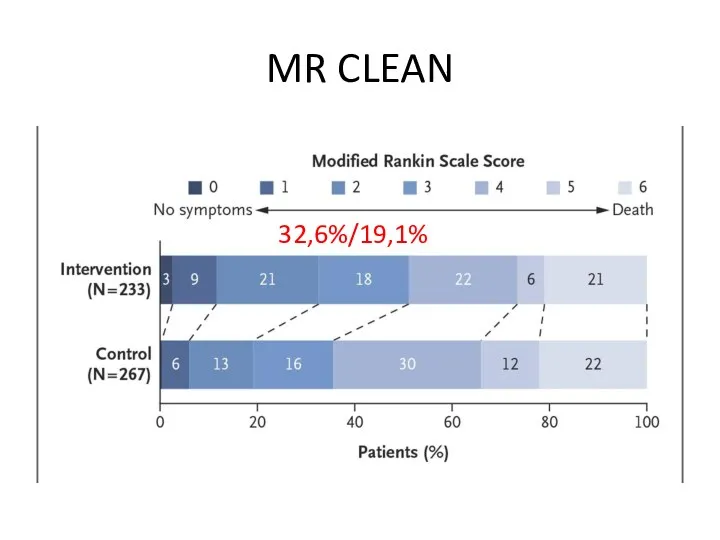 MR CLEAN 32,6%/19,1%