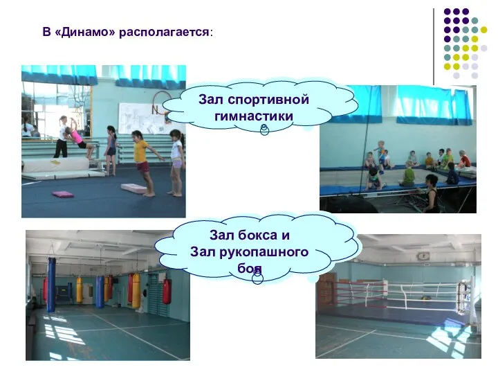 В «Динамо» располагается: Зал спортивной гимнастики Зал бокса и Зал рукопашного боя