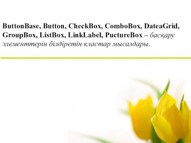 ButtonBase, Button, CheckBox, ComboBox, DateaGrid, GroupBox, ListBox, LinkLabel, PuctureBox – басқару элементтерін білдіретін кластар мысалдары.