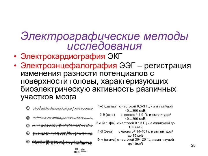 Электрографические методы исследования Электрокардиография ЭКГ Электроэнцефалография ЭЭГ – регистрация изменения