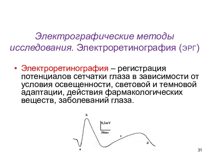 Электрографические методы исследования. Электроретинография (ЭРГ) Электроретинография – регистрация потенциалов сетчатки