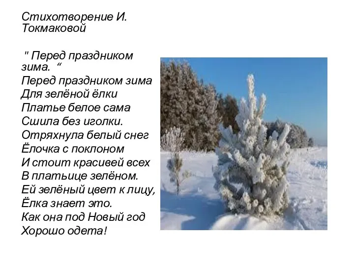 Стихотворение И. Токмаковой " Перед праздником зима. “ Перед праздником