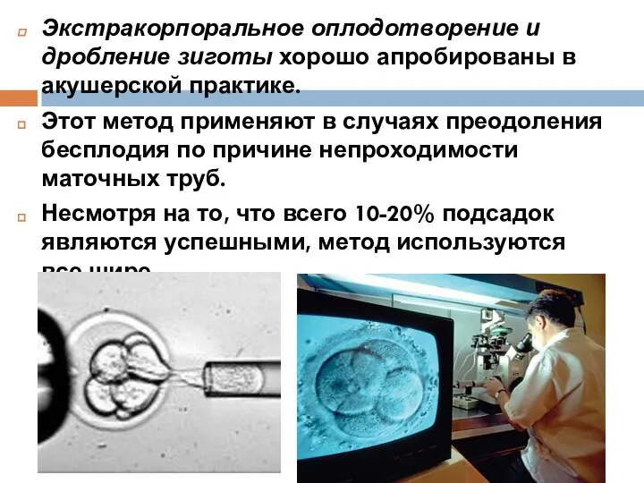 Экстракорпоральное оплодотворение и дробление зиготы хорошо апробированы в акушерской практике.