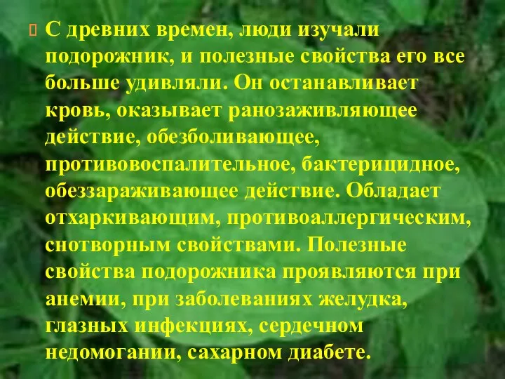 С древних времен, люди изучали подорожник, и полезные свойства его