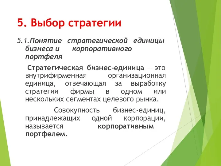 5. Выбор стратегии 5.1.Понятие стратегической единицы бизнеса и корпоративного портфеля