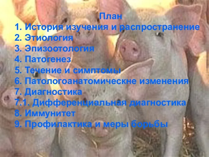 План 1. История изучения и распространение 2. Этиология 3. Эпизоотология