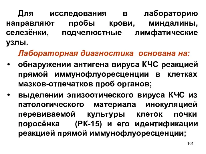 Для исследования в лабораторию направляют пробы крови, миндалины, селезёнки, подчелюстные