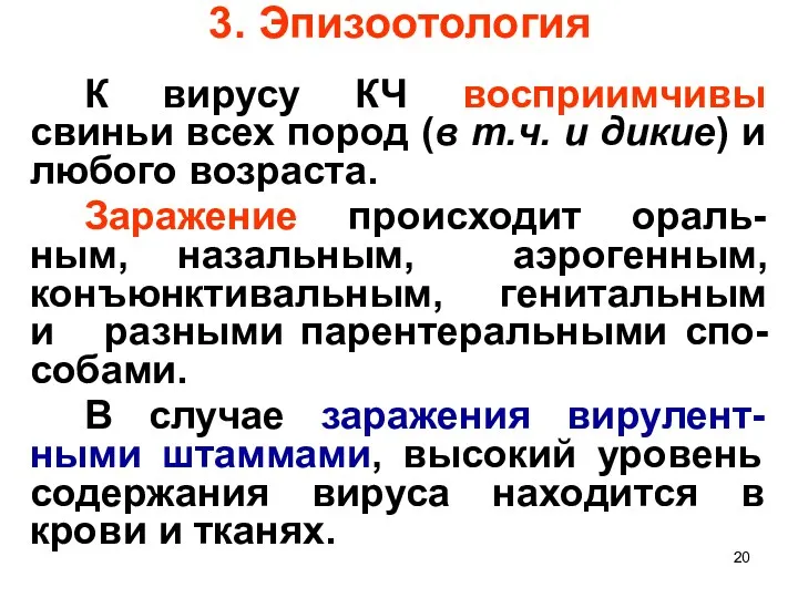 3. Эпизоотология К вирусу КЧ восприимчивы свиньи всех пород (в