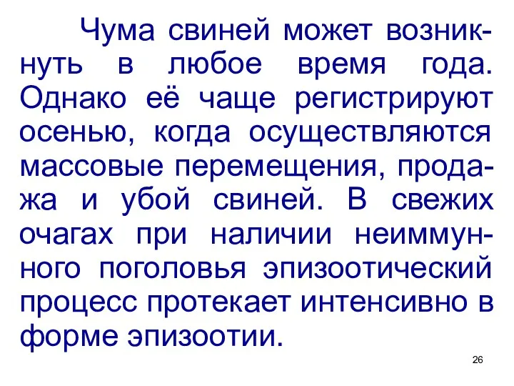 Чума свиней может возник-нуть в любое время года. Однако её