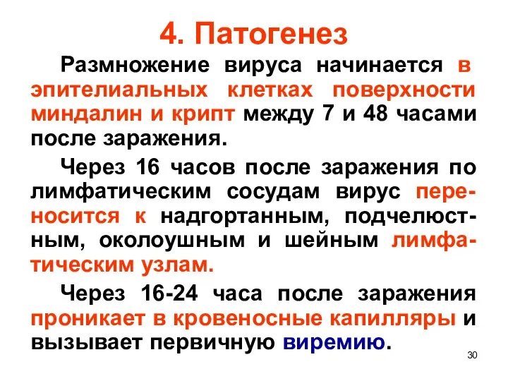 4. Патогенез Размножение вируса начинается в эпителиальных клетках поверхности миндалин