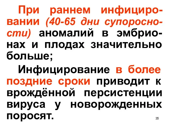 При раннем инфициро-вании (40-65 дни супоросно-сти) аномалий в эмбрио-нах и