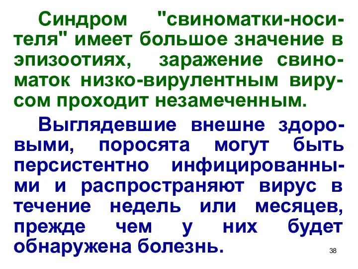 Синдром "свиноматки-носи-теля" имеет большое значение в эпизоотиях, заражение свино-маток низко-вирулентным