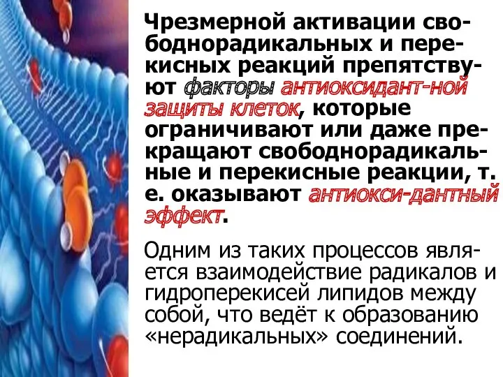 Чрезмерной активации сво-боднорадикальных и пере-кисных реакций препятству-ют факторы антиоксидант-ной защиты