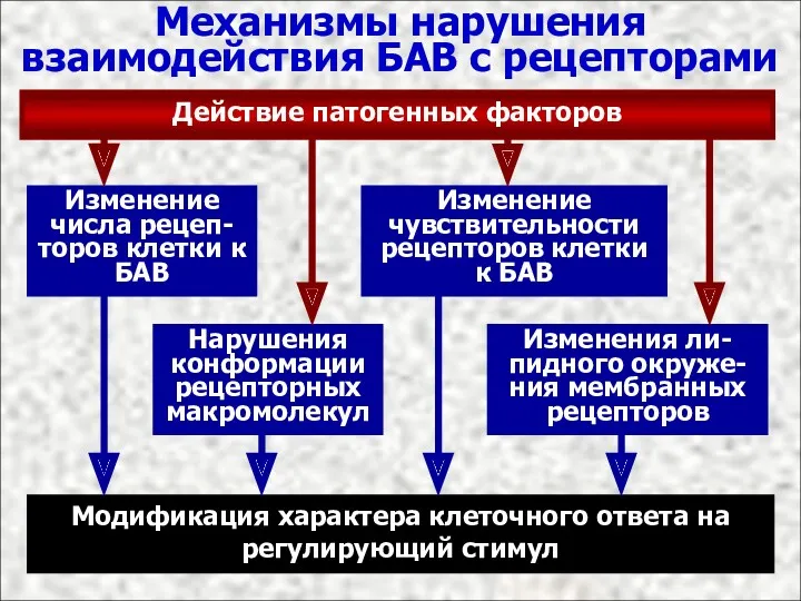 Механизмы нарушения взаимодействия БАВ с рецепторами Действие патогенных факторов Изменение