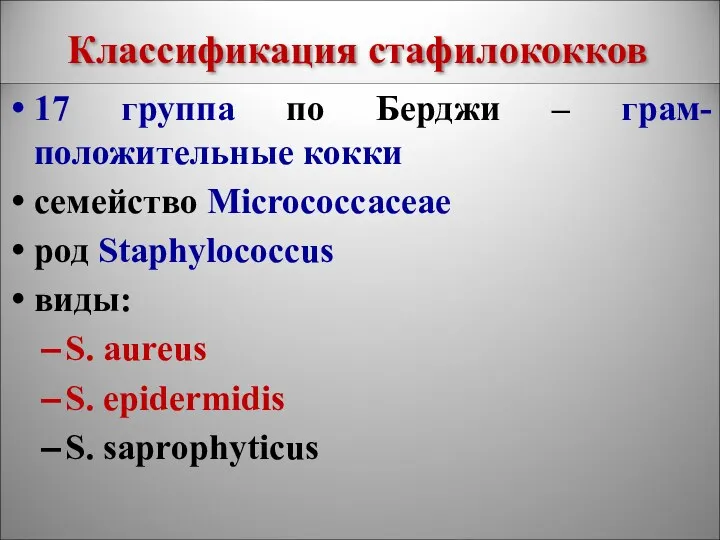 Классификация стафилококков 17 группа по Берджи – грам-положительные кокки семейство