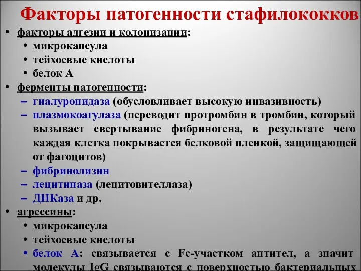 Факторы патогенности стафилококков факторы адгезии и колонизации: микрокапсула тейхоевые кислоты