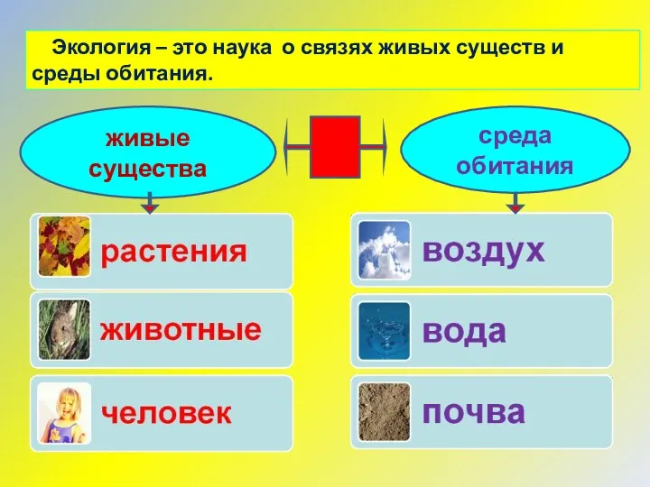 Экология – это наука о связях живых существ и среды обитания. живые существа среда обитания