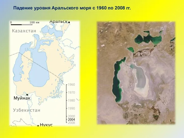 Падение уровня Аральского моря с 1960 по 2008 гг.