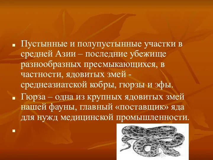 Пустынные и полупустынные участки в средней Азии – последние убежище