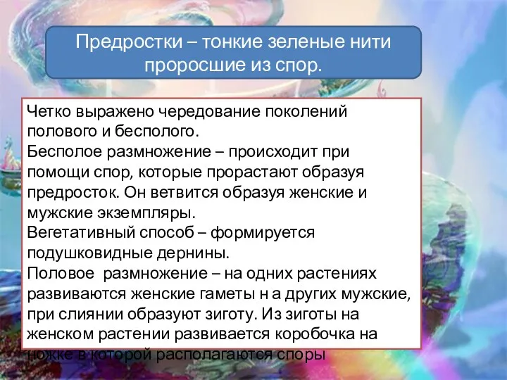 3. Размножение мхов. Четко выражено чередование поколений полового и бесполого.