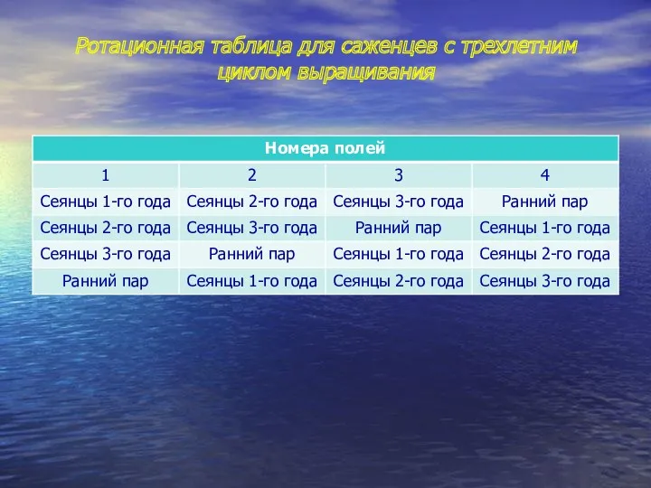 Ротационная таблица для саженцев с трехлетним циклом выращивания