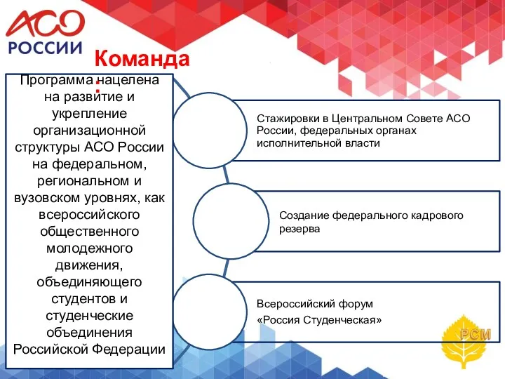 Программа нацелена на развитие и укрепление организационной структуры АСО России на федеральном, региональном