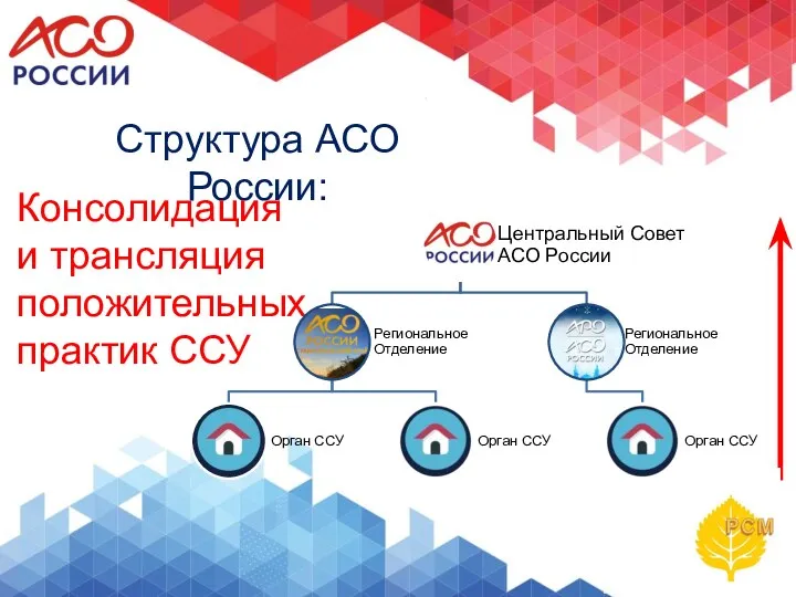 Структура АСО России: Консолидация и трансляция положительных практик ССУ