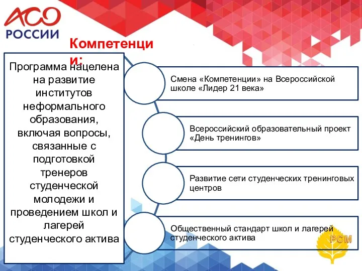 Программа нацелена на развитие институтов неформального образования, включая вопросы, связанные с подготовкой тренеров