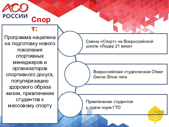 Программа нацелена на подготовку нового поколения спортивных менеджеров и организаторов спортивного досуга, популяризацию