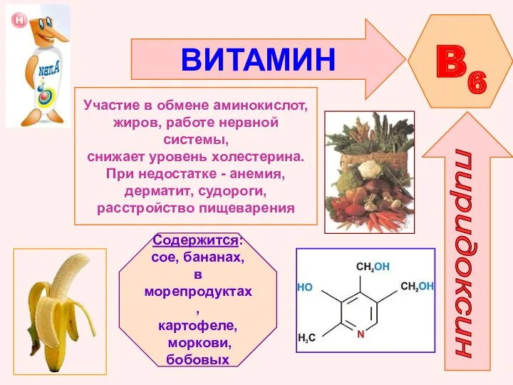 ВИТАМИН B6 пиридоксин Участие в обмене аминокислот, жиров, работе нервной